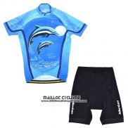 2014 Maillot Ciclismo Monton Azur Manches Courtes et Cuissard