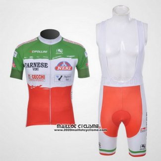 2011 Maillot Ciclismo Giordana Rouge et Vert Manches Courtes et Cuissard