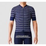 2019 Maillot Ciclismo La Passione Stripe Bleu Manches Courtes et Cuissard
