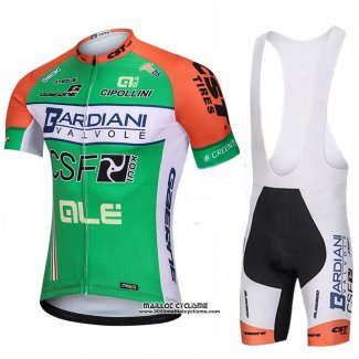 2018 Maillot Ciclismo Bardiani CSF Vert Manches Courtes et Cuissard
