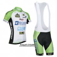 2014 Maillot Ciclismo Bardiani Blanc et Vert Manches Courtes et Cuissard