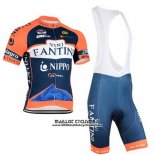 2015 Maillot Ciclismo Vini Fantini Orange et Bleu Manches Courtes et Cuissard