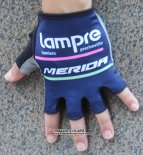 2016 Lampre Gants Ete Ciclismo