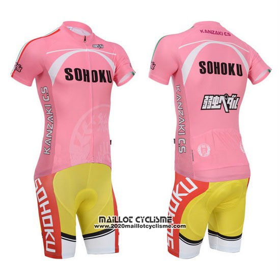 2014 Maillot Ciclismo Fox Cyclingbox Fuchsia Manches Courtes et Cuissard