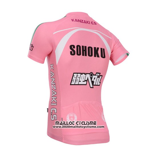 2014 Maillot Ciclismo Fox Cyclingbox Fuchsia Manches Courtes et Cuissard