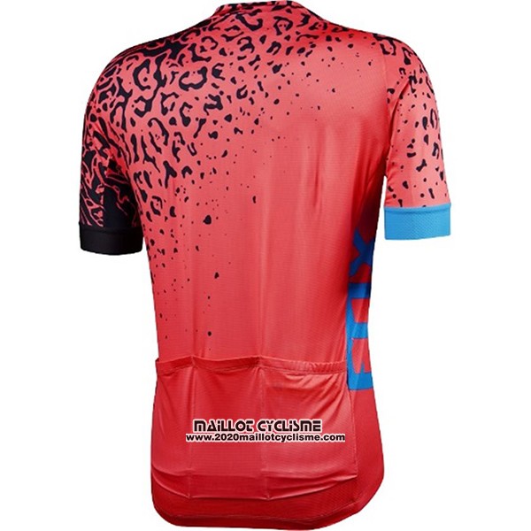 2017 Maillot Ciclismo Fox Ascent Comp Rouge Manches Courtes et Cuissard