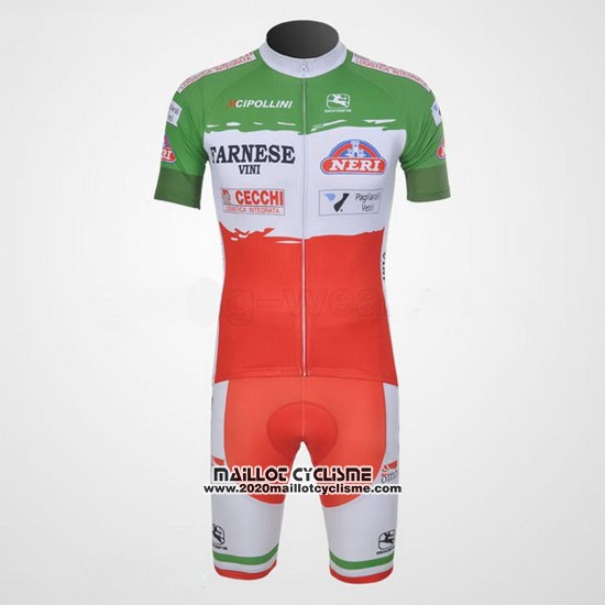 2011 Maillot Ciclismo Giordana Rouge et Vert Manches Courtes et Cuissard